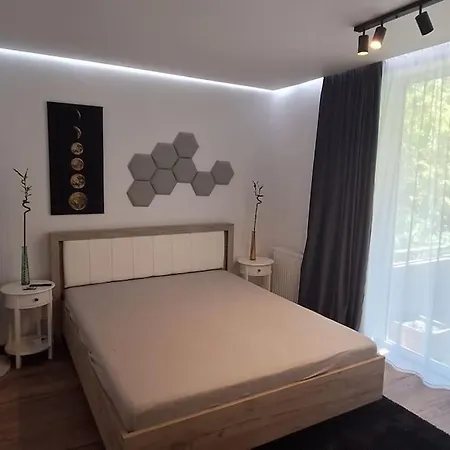 Avis Apartament De Lux Apartment *